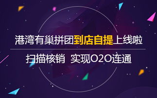 拼团港湾有巢 专注互联网创新系统与技术产品开发