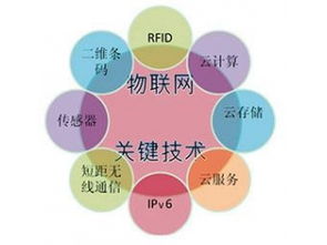 赛亿科技 驱动万物互联，网络技术赋能智慧未来