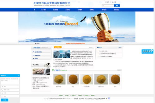 石家庄网络建设与技术服务 构建数字时代的企业桥梁